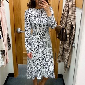 J Crew Polka Dot Midi Dress